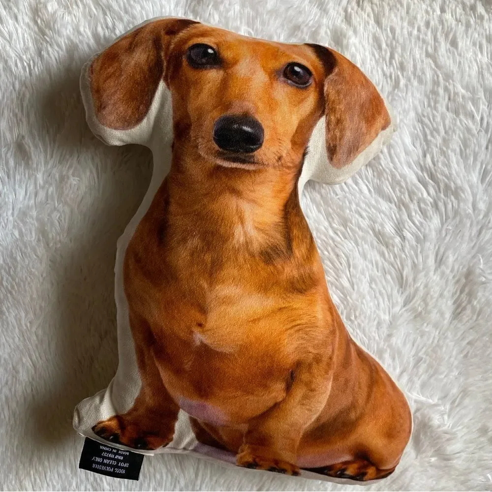 Envogue Miniature Dachshund Puppy‎ Dog Decorative Pillow Smooth Double Sided